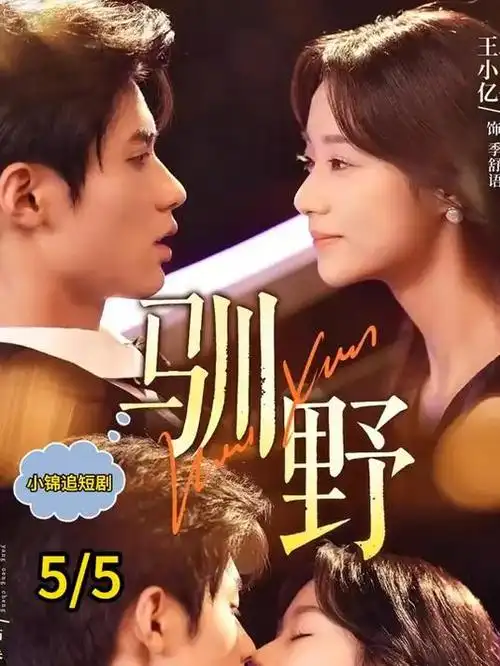 沉默的坐标剧集海报